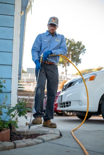 pest-control-la-jolla-ca-gallery-page-images-7-21-2025-9